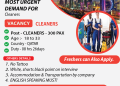 Most Urgent Demand For Cleaners in Qatar
